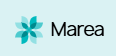 Marya Pharmaceutical Equipment