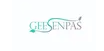 Henan Geesion Medical Devices Co., Ltd. - Dental product manufacturer