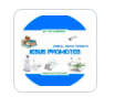 JESUS PROMOTES - Dental product manufacturer