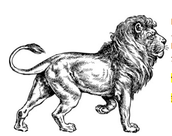 Lions Dental Supply & Equipment